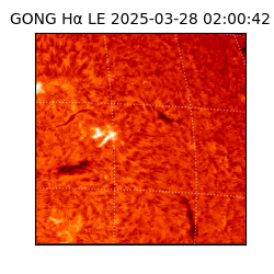 gong - 2025-03-28T02:00:42