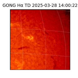 gong - 2025-03-28T14:00:22