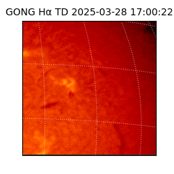 gong - 2025-03-28T17:00:22
