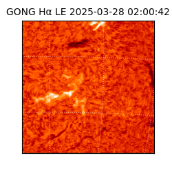 gong - 2025-03-28T02:00:42