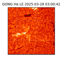 gong - 2025-03-28T03:00:42