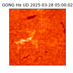 gong - 2025-03-28T05:00:02