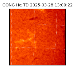 gong - 2025-03-28T13:00:22