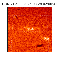 gong - 2025-03-28T02:00:42