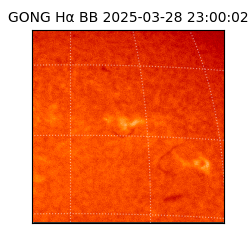 gong - 2025-03-28T23:00:02