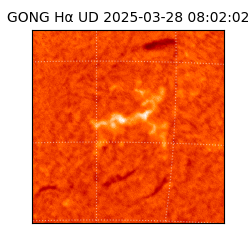 gong - 2025-03-28T08:02:02