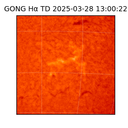 gong - 2025-03-28T13:00:22