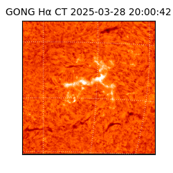 gong - 2025-03-28T20:00:42