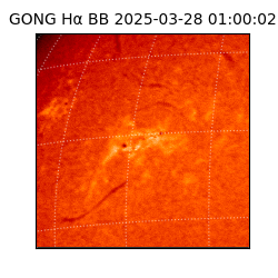 gong - 2025-03-28T01:00:02