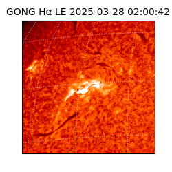 gong - 2025-03-28T02:00:42