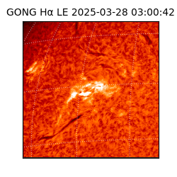 gong - 2025-03-28T03:00:42