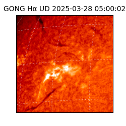 gong - 2025-03-28T05:00:02