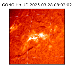 gong - 2025-03-28T08:02:02