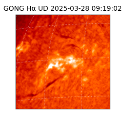 gong - 2025-03-28T09:19:02