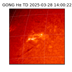 gong - 2025-03-28T14:00:22