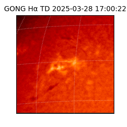 gong - 2025-03-28T17:00:22