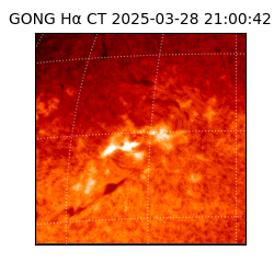 gong - 2025-03-28T21:00:42