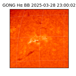 gong - 2025-03-28T23:00:02