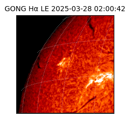 gong - 2025-03-28T02:00:42