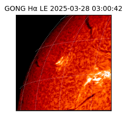gong - 2025-03-28T03:00:42