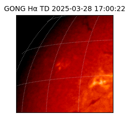 gong - 2025-03-28T17:00:22