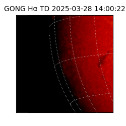 gong - 2025-03-28T14:00:22