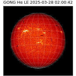gong - 2025-03-28T02:00:42