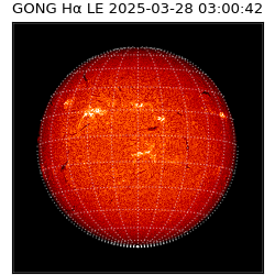 gong - 2025-03-28T03:00:42