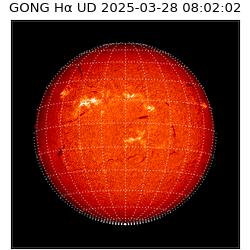 gong - 2025-03-28T08:02:02
