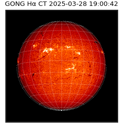 gong - 2025-03-28T19:00:42