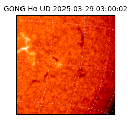 gong - 2025-03-29T03:00:02