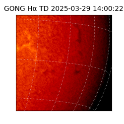 gong - 2025-03-29T14:00:22
