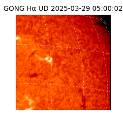 gong - 2025-03-29T05:00:02