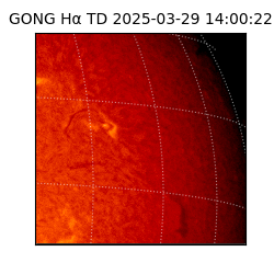 gong - 2025-03-29T14:00:22