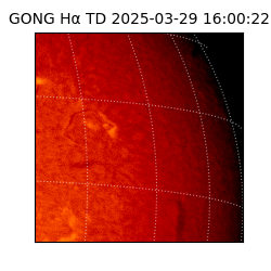 gong - 2025-03-29T16:00:22