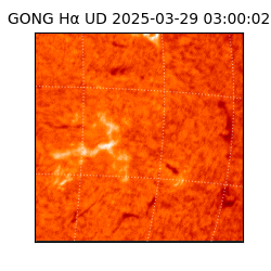 gong - 2025-03-29T03:00:02