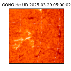 gong - 2025-03-29T05:00:02