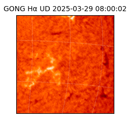 gong - 2025-03-29T08:00:02