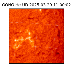 gong - 2025-03-29T11:00:02