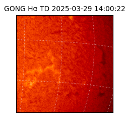 gong - 2025-03-29T14:00:22