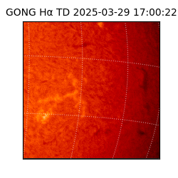 gong - 2025-03-29T17:00:22