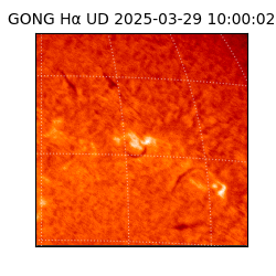 gong - 2025-03-29T10:00:02