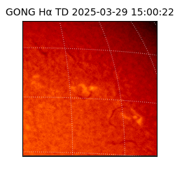 gong - 2025-03-29T15:00:22