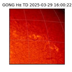 gong - 2025-03-29T16:00:22