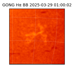 gong - 2025-03-29T01:00:02