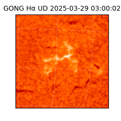 gong - 2025-03-29T03:00:02