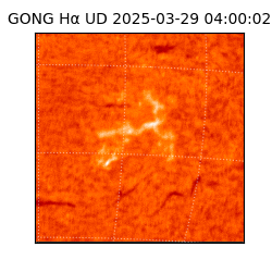 gong - 2025-03-29T04:00:02
