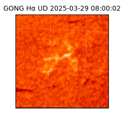 gong - 2025-03-29T08:00:02