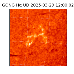 gong - 2025-03-29T12:00:02