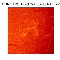gong - 2025-03-29T16:00:22